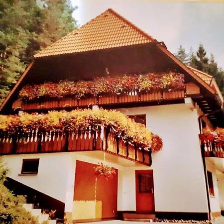 Ferienwohungen Im Kuchersbach Hornberg Exteriér fotografie