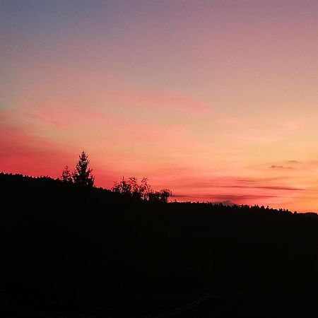 Ferienwohungen Im Kuchersbach Hornberg Exteriér fotografie