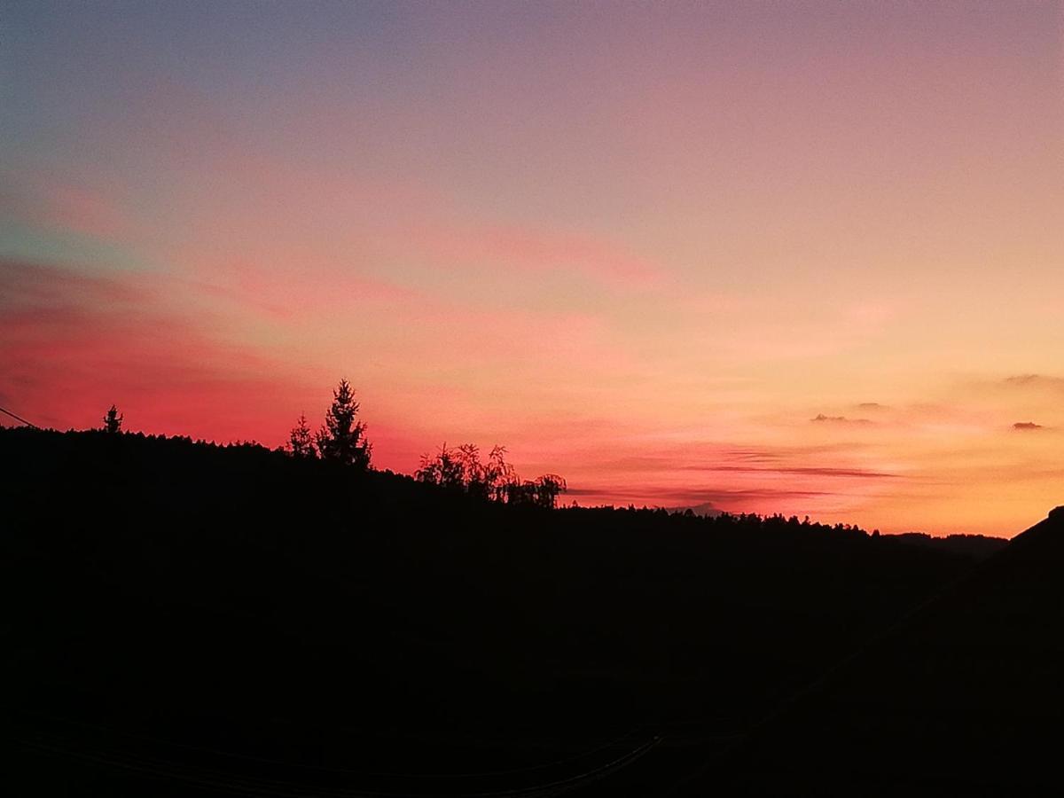 Ferienwohungen Im Kuchersbach Hornberg Exteriér fotografie