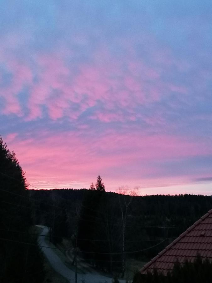 Ferienwohungen Im Kuchersbach Hornberg Exteriér fotografie
