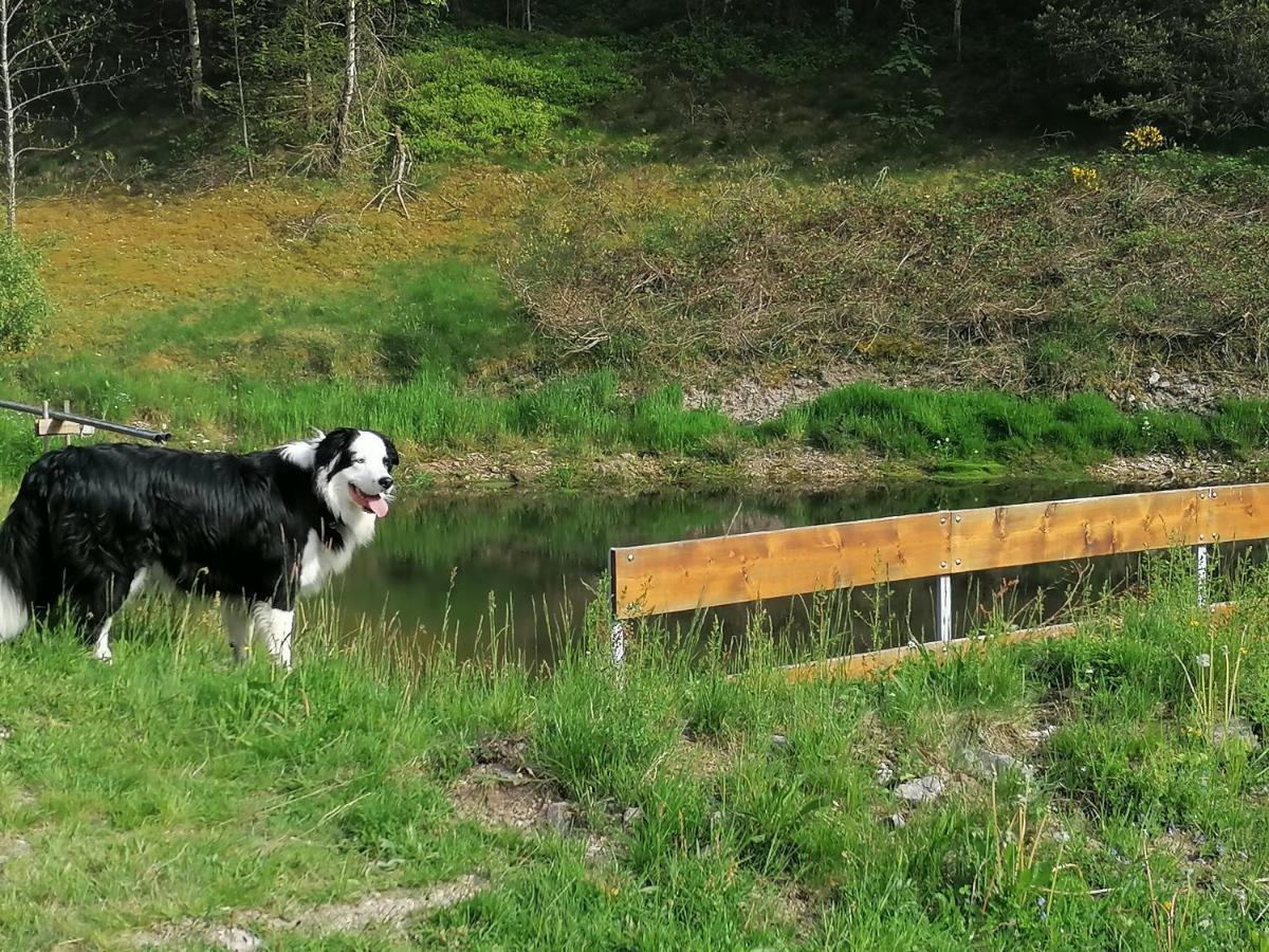 Ferienwohungen Im Kuchersbach Hornberg Exteriér fotografie