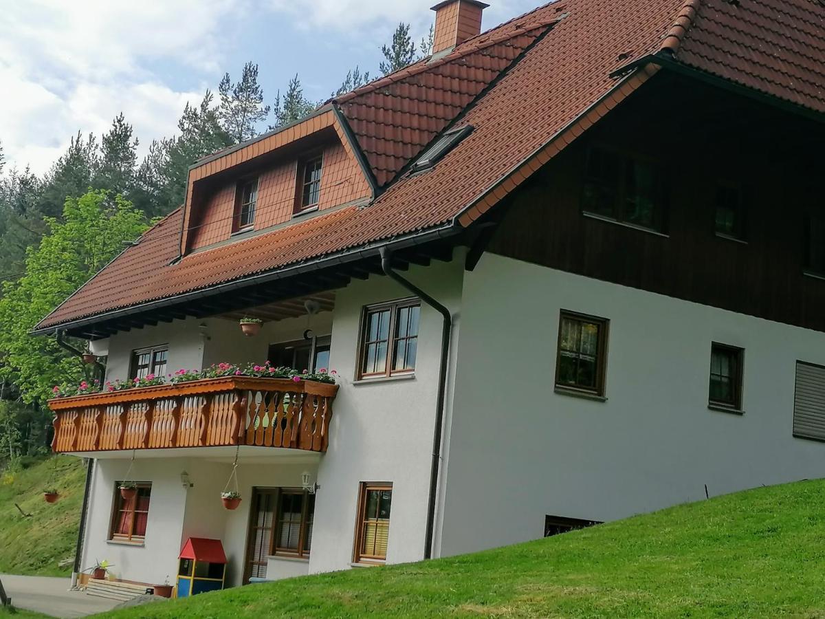 Ferienwohungen Im Kuchersbach Hornberg Exteriér fotografie