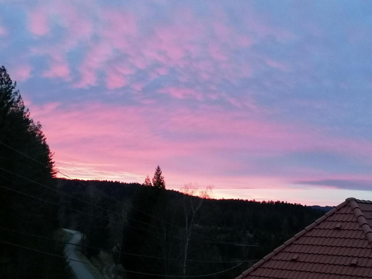 Ferienwohungen Im Kuchersbach Hornberg Exteriér fotografie