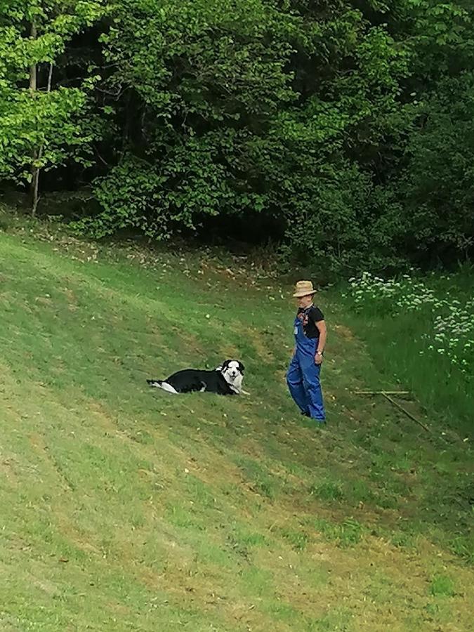 Ferienwohungen Im Kuchersbach Hornberg Exteriér fotografie