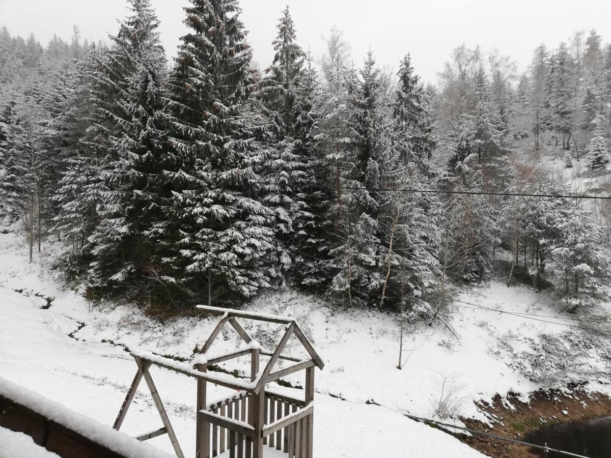 Ferienwohungen Im Kuchersbach Hornberg Exteriér fotografie