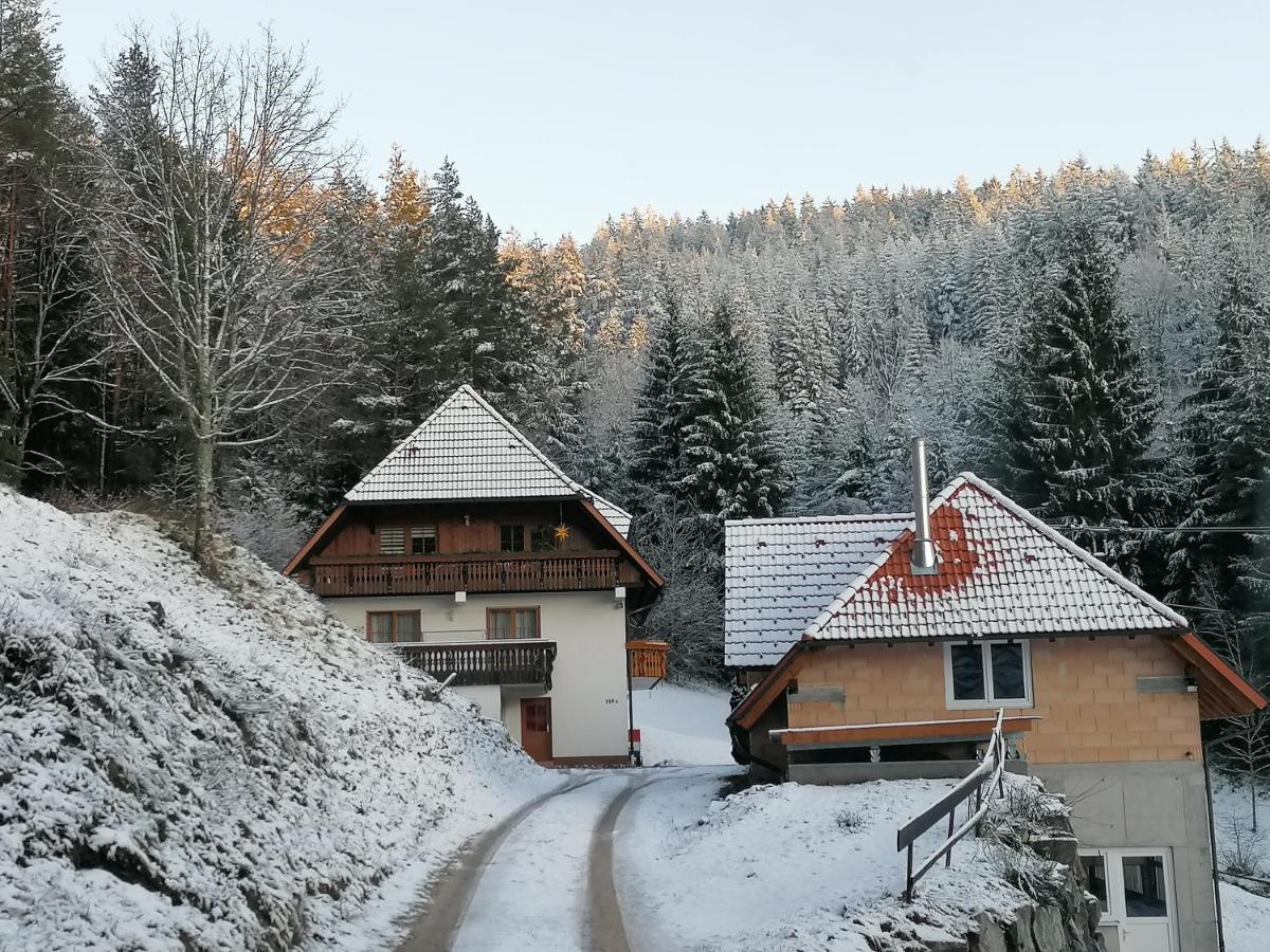 Ferienwohungen Im Kuchersbach Hornberg Exteriér fotografie