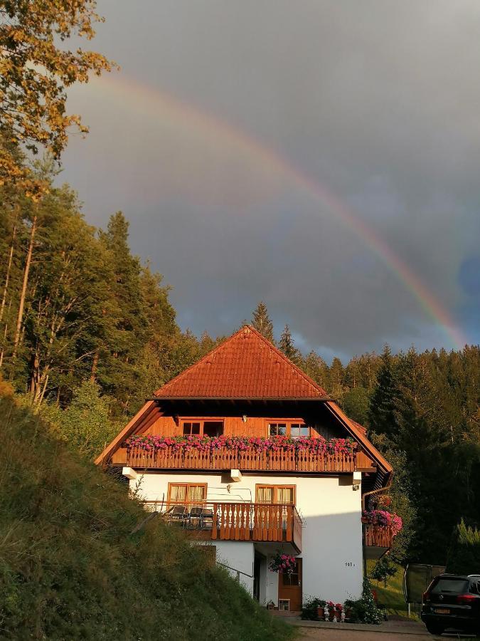 Ferienwohungen Im Kuchersbach Hornberg Exteriér fotografie