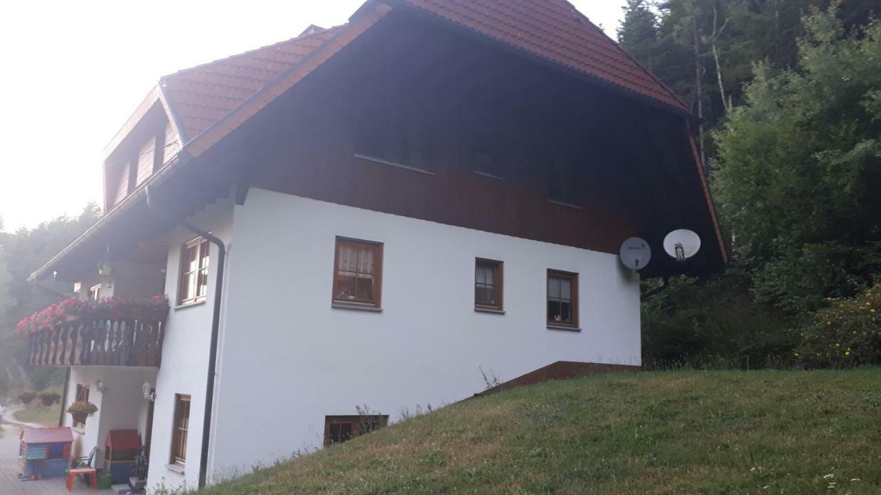 Ferienwohungen Im Kuchersbach Hornberg Exteriér fotografie